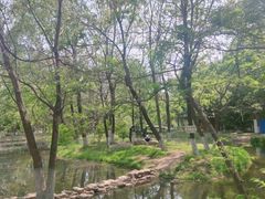 -长白岛森林公园