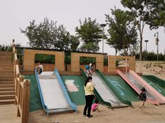 -大兴滨河森林公园