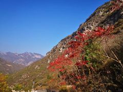 -北京上方山国家森林公园