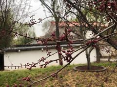 -丰台花园