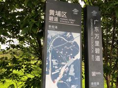 -长洲岛