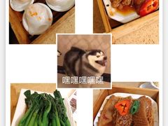 -喜鹊茶点.啫煲(车陂店)