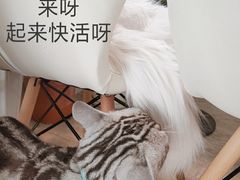 -小时光咖啡馆(北锣鼓巷店)
