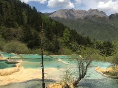 -黄龙山原始森林景区