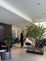 -付军剪艺JF ProSalon