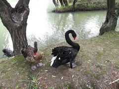 -长兴太湖图影湿地文化园