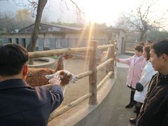 -西安秦岭野生动物园