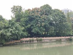 -成都市活水公园