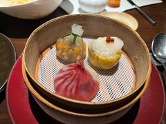 -随堂里