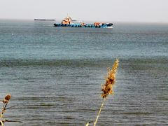 -上海滨江森林公园
