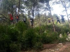 -梦幻奥陶纪景区