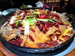 老板恋上鱼-老板恋上鱼(高新万达店)