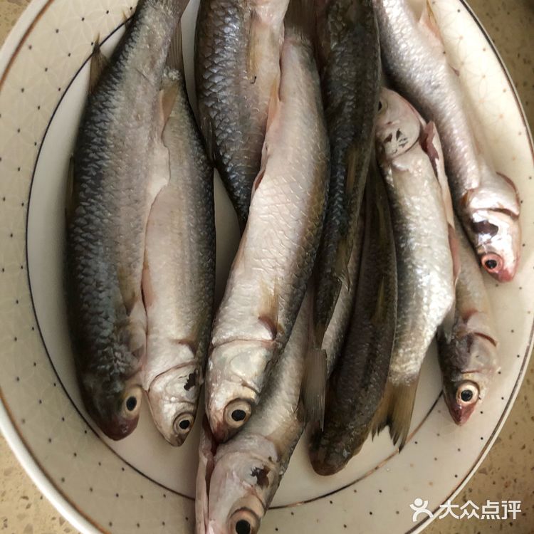 香煎乌头鱼，肉质细腻鲜美！