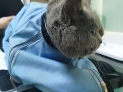 -派特宠物医院(圆融广场店)