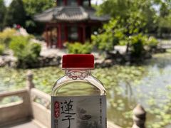 -莲池书院博物馆