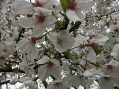 -杭州城北体育公园