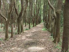 -同里国家湿地公园