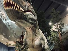 -湖南省地质博物馆