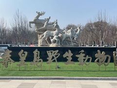 -秦皇岛野生动物园