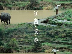 -婺源风景区