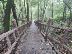 -南山植物园