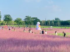 -汉长安城未央宫国家考古遗址公园