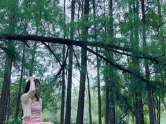 -东湖落雁景区