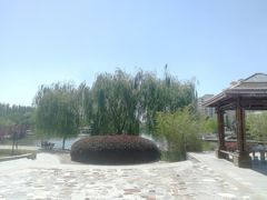 -雁滩公园