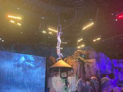 -芜湖新华联大白鲸海洋公园