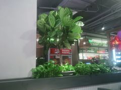 大堂-管氏翅吧(地安门创始店)