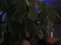 -Xcape异时刻密室逃脱魔法互动(瑞虹天地太阳宫店)