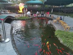 -成飞公园