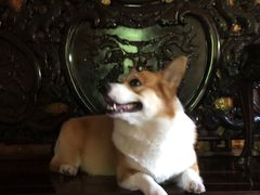 -瑞福园联谊餐室(茂名南路店)