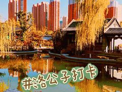 -迎泽公园