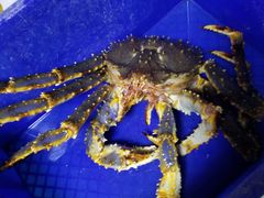 -蟹之国·精品蟹料理(极地店)