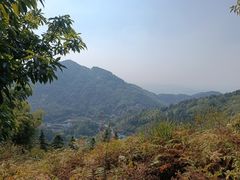 -长沙黑麋峰国家森林公园