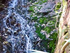 -宁波五龙潭景区