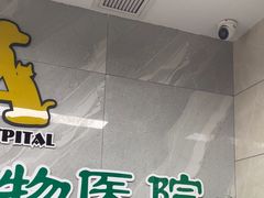 -半岛宠物医院24小时(白果林店)