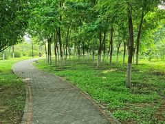 -永定河休闲森林公园