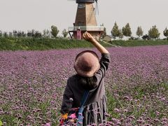 -君乐宝优致牧场