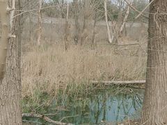 -永定河休闲森林公园