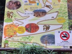 -岚山猴子公园