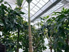 -歌斐颂巧克力小镇