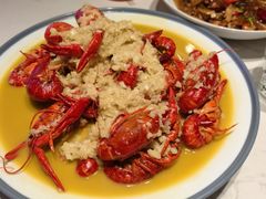 -杨氏青龙虾·羊蝎子(托乐嘉店)