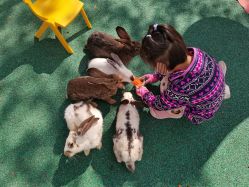 -季高兔窝窝亲子园(上海薰衣草公园店)