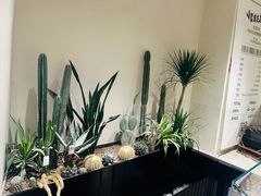 -J Create城市露营咖啡·简餐·宠物(上海动物园店)