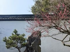 -杭州植物园