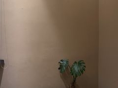 -月龍吟(朝龙汇店)