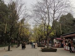 -大雁塔北广场音乐喷泉