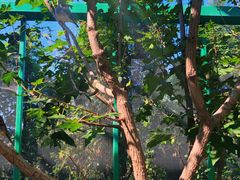 -石家庄市植物园